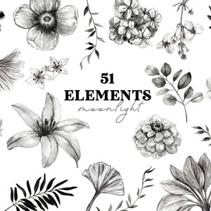 Schwarze und weiße Aquarell Clipart Elemente - Mondschein, schwarze Aquarell Blumen, getrennte florale Elemente, Blumen, Blätter, digitale PNG