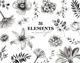 Elementos de imágenes prediseñadas de acuarela en blanco y negro - Luz de luna, flores de acuarela negra, elementos florales separados, flores, hojas, PNG digital