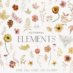 Éléments d'aquarelle automnale délicats rustiques bricolage Clipart floral, fleurs et feuilles d'automne doux, automne Boho fleurs chaudes fleurs séchées PNG