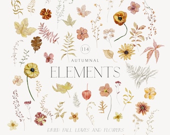 Rustic Fall Delicate Autumnal Watercolor Elements DIY Floral Clipart, Soft Fall Flowers & Leaves, Autumn Boho Warm Florals Dried flowers PNG