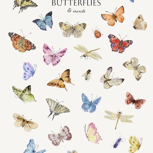May include: A collection of 45 watercolour illustrations of butterflies and insects. The illustrations are in various colours and feature different species of butterflies and insects, including dragonflies, ladybugs, and bees. The text "all of my BUTTERFLIES & insects" is written in black lettering on a white background.