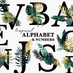 Tropische weelderige aquarel Letters & cijfers clipart, exotische jungle bladeren, goud groen alfabet, groen bruiloft monogram, Monstera palmblad