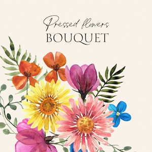 Bouquet de fleurs pressées aquarelle florale - fleurs séchées, clipart herbes, arrangement floral botanique vintage, composition numérique PNG
