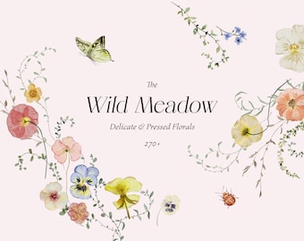 Puede incluir: Una ilustración de acuarela de flores prensadas y vegetación con una mariposa, una mariquita y el texto "The Wild Meadow Delicate & Pressed Florals 270+"