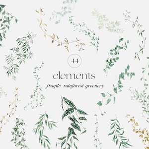 Aquarel groen clipart, delicaat gebladerte, wild regenwoud, zacht groen elementen DIY, wilde bladeren PNG bruiloft uitnodiging, jungle wijnstokken