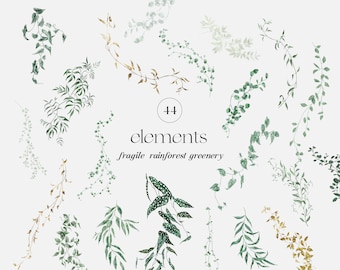 Watercolor Greenery clipart, Delicate Foliage, Wild Rainforest, Soft Greenery Elements DIY, wild leaves PNG wedding invitation, Jungle vines