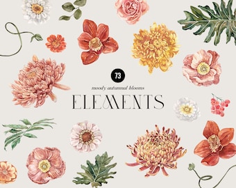 Autumnal Blooms Watercolor Floral Elements Clipart, Boho Fall wedding invite, terracotta Flowers, Warm Florals DIY, Dahlias, Poppies PNG
