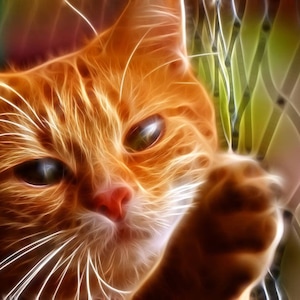Ginger Cat fractal design Cross stitch Pattern + bonus print, printable digital file. Instant download  chart for DMC & Anchor thread