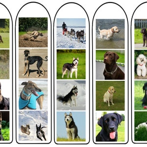 Dog breeds bookmarks digital download, terrier whippet poodle doberman labrador schnauzer spaniel dachsund alsatian beagle bulldog greyhound
