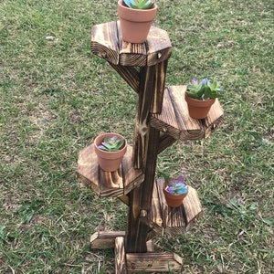 May include: A tiered wooden plant stand with four levels, each holding a small terracotta pot with a succulent plant. The wood has a dark, stained finish. The stand is outdoors on a grassy surface.