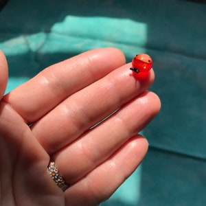 May include: A small, red glass ladybug with black details. The ladybug is sitting on a finger.