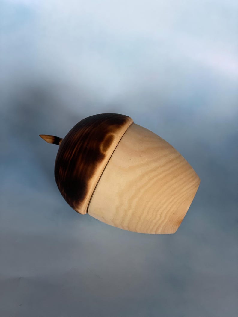May include: A wooden acorn-shaped box with a dark brown top and a light brown base. The box has a small stem and is made of natural wood. The top is darker, with a burnt appearance, while the base is lighter.