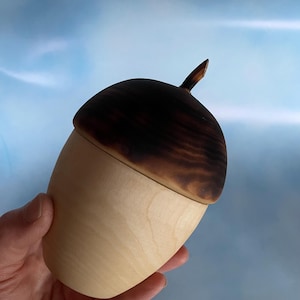 May include: A wooden acorn-shaped box with a dark brown top and a light brown base. The top has a small stem. The box is held in a hand against a blue background. The box is likely used for storage or decoration.
