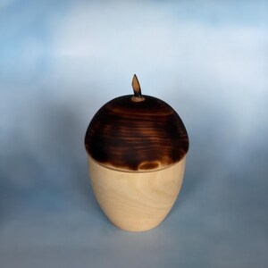 May include: A wooden acorn-shaped box with a dark brown, rounded lid and a light brown base. The lid has a small, pointed stem. The box is made of natural wood and has a smooth finish.
