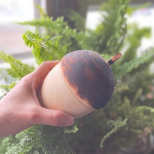 May include: A wooden acorn-shaped container with a light-colored base and a dark brown, burnt-looking top. The container is held in a hand, with green foliage in the background. The acorn has a small stem.