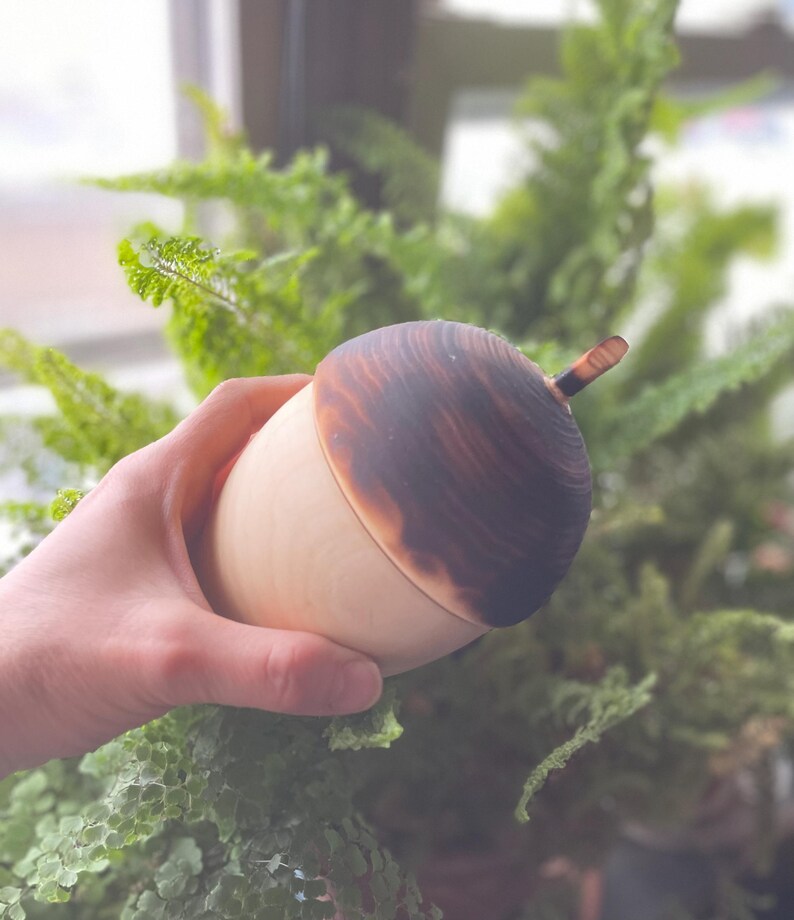May include: A wooden acorn-shaped container with a light-colored base and a dark brown, burnt-looking top. The container is held in a hand, with green foliage in the background. The acorn has a small stem.