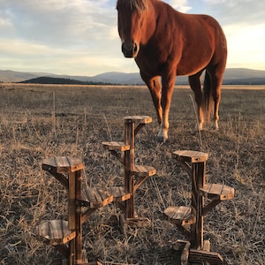 May include: Three tiered wooden plant stands with a rustic design. The stands are made of dark stained wood and have a natural, weathered appearance. A brown horse stands in the background in a field.