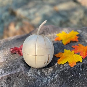 May include: A light-colored, spherical wooden box with a curved stem on top. The box is divided into four sections. The box is sitting on a gray rock with colorful fall leaves scattered around it.