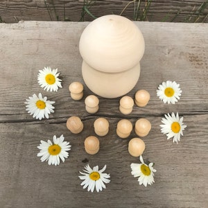Untreated wooden mushroom box with 10 baby mushrooms Montessori toys Sorting game Counting toys Educational wooden toys Toddler gift DYI