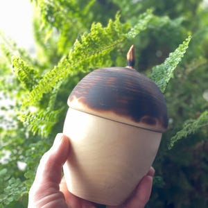 May include: A wooden acorn-shaped container with a light-colored base and a dark, burnt-wood top. The container has a small, pointed stem. The background features green foliage.