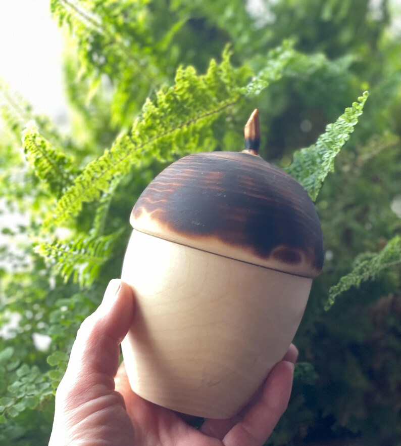 May include: A wooden acorn-shaped container with a light-colored base and a dark, burnt-wood top. The container has a small, pointed stem. The background features green foliage.
