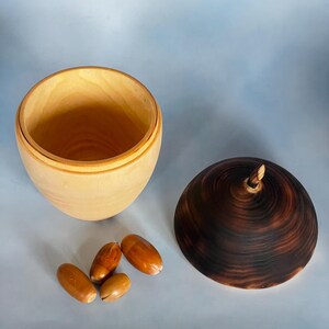 May include: A wooden acorn-shaped box with a dark brown lid and a light-colored interior. The lid has a small stem. Four acorns are next to the box. The box is open, revealing the interior.