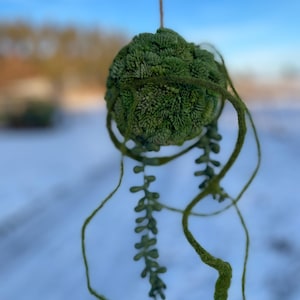 May include: A hanging, spherical, green decorative object with a textured surface, resembling a plant. Long, trailing tendrils and a string for hanging extend from the sphere. The background is a blurred winter scene with snow and a blue sky.