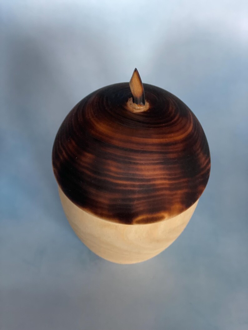 May include: A wooden acorn-shaped box with a light-colored base and a dark brown, textured top. The top has a small, pointed stem. The box is likely used for storage or decoration.