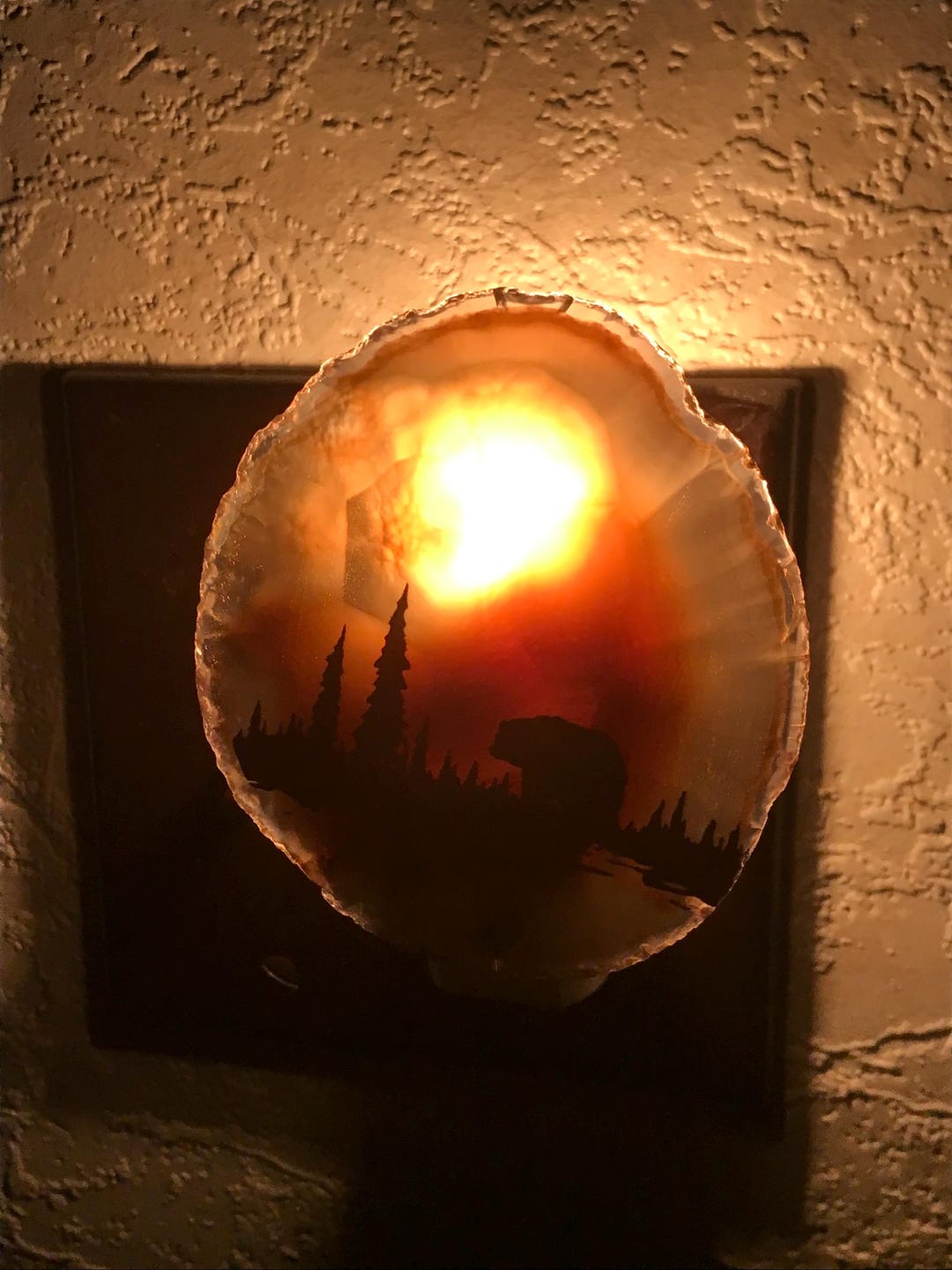 Brazilian Agate Night Light Wall Plug in Bedroom/entryway Bear Lamp ...