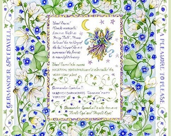 The Language of Flowers Wood Sorrel