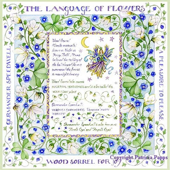 The Language Of Flowers Wood Sorrel Etsy