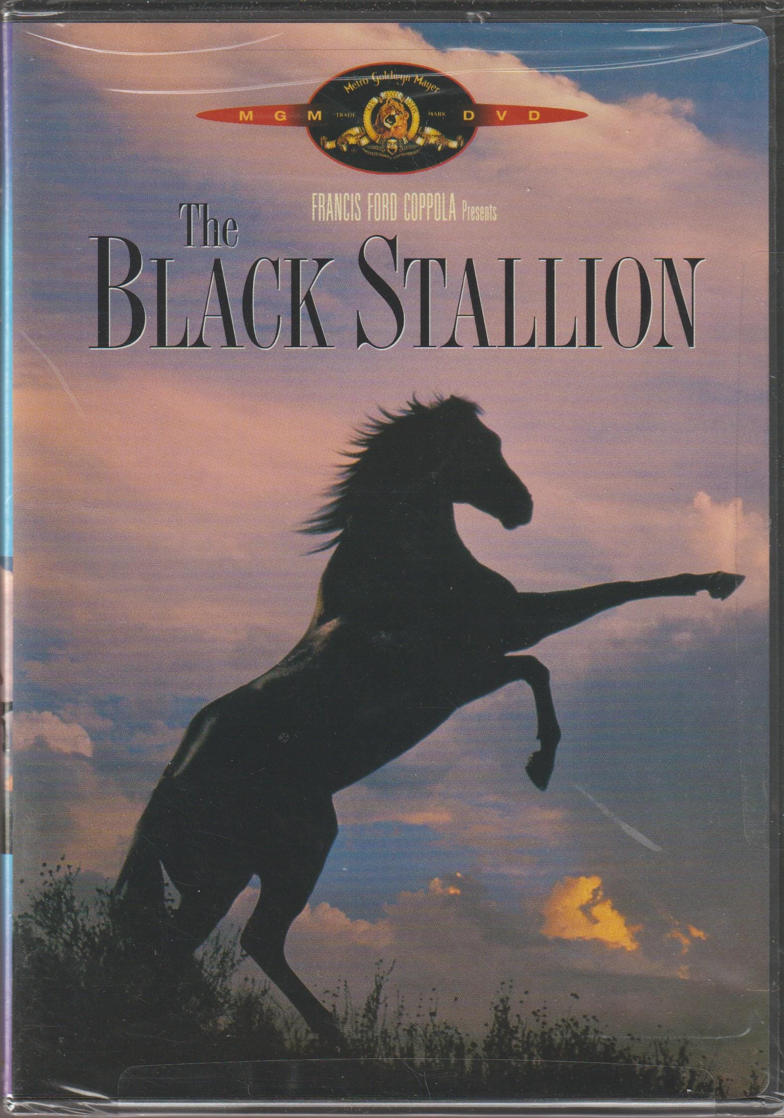 The Black Stallion 1979 - Etsy