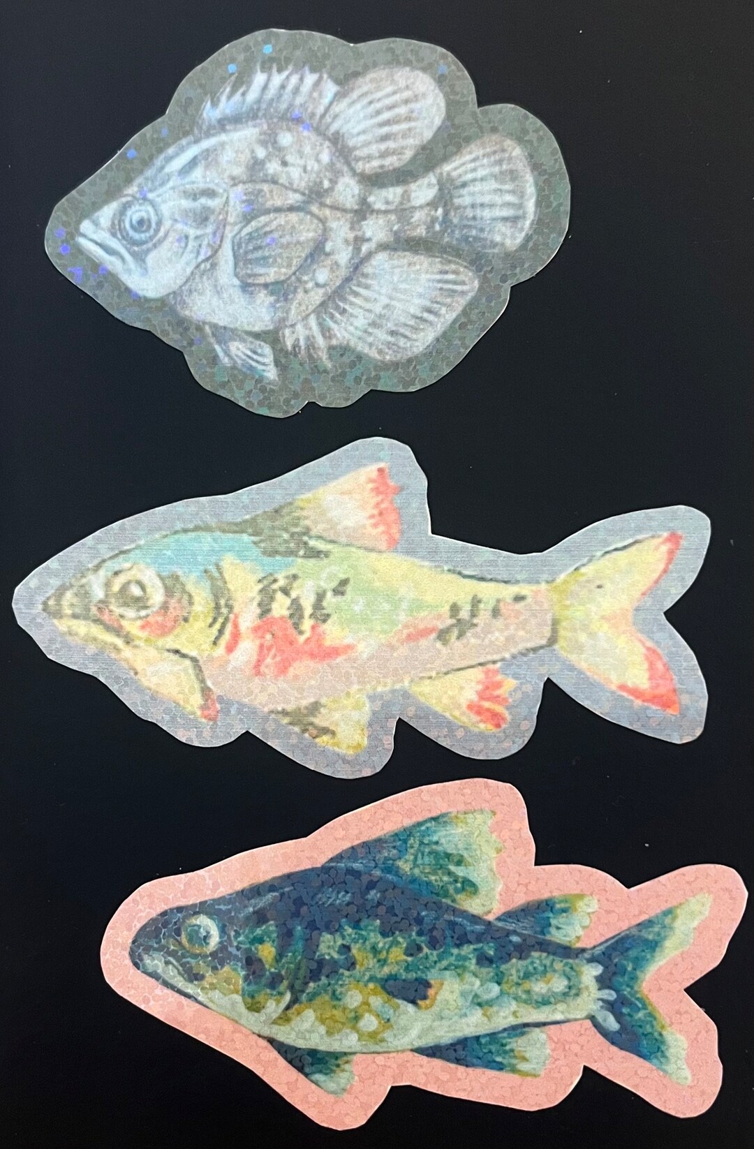 Sparkly Fish Stickers 3 Pack Variety Pack hand Drawn and Hand Cut - Etsy
