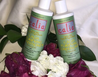 Calia S 12 Oz Organic Purifying Shampoo For Dry Hair Etsy