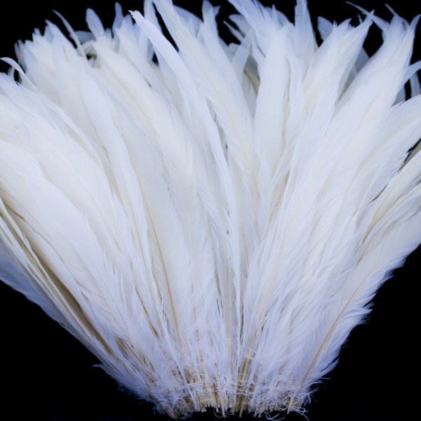 White 12" - 14" strung coque rooster tail  feathers