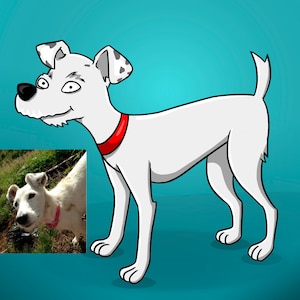 Custom Cartoonized Pet Portrait / Custom Pet Cartoon / Custom Pet Portrait / My Pet Portrait / Animal Portraits
