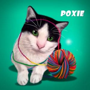 Pet Cartoon Portrait / pet caricature / custom pet portrait / custom cat portrait / cat caricature / pet portrait artist