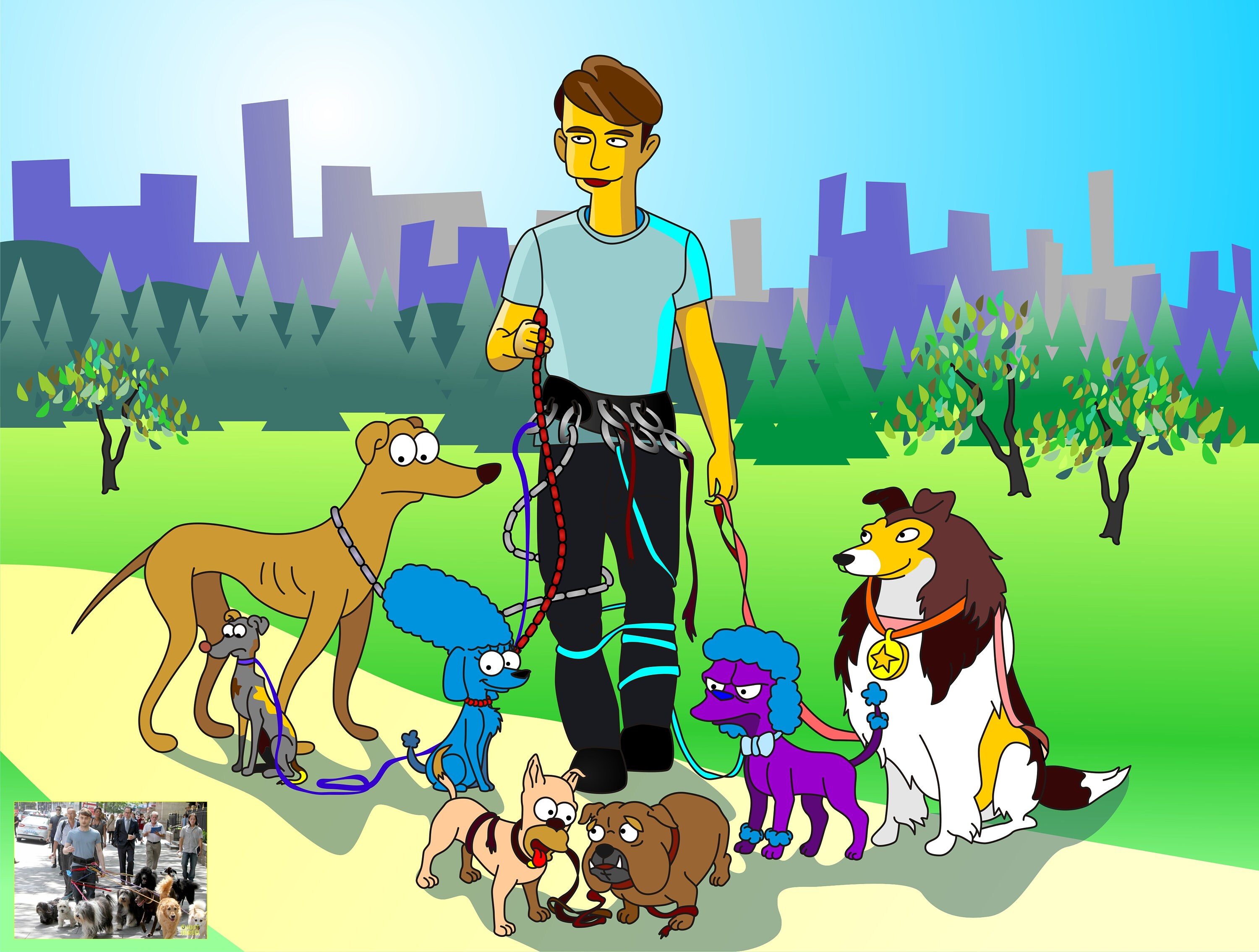 dog walker and trainer