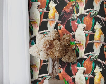 Parrot Wallpaper on Black Background, Tropical Wall Art for Dramatic Feature Wall, Exotic Jungle Decor