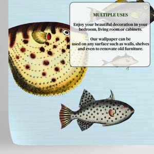 Carta da Parati Pesci Tropicali in Acquario immagine 2