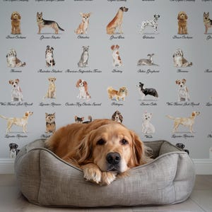 Carta da Parati Cani Sfondo grigio