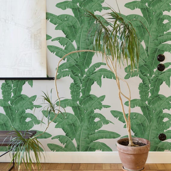 Tropical Leaves Wallpaper - Banana Leaves Decor for Accent Feature Wall - Green Botanical Home Decor