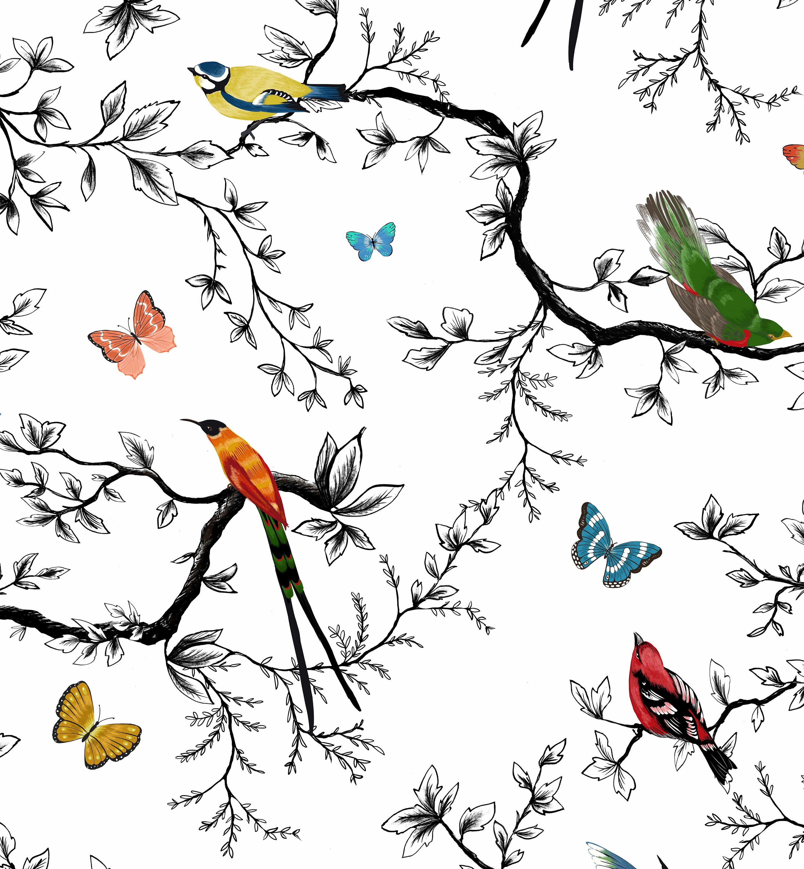 Bird and Butterfly Wallpaper for Childrens Room Décor