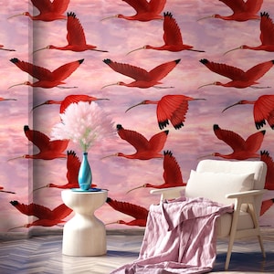 Scarlet Ibis Bird Wallpaper at Sunset, Tropical birds Indie room decor, dramatic wall covering