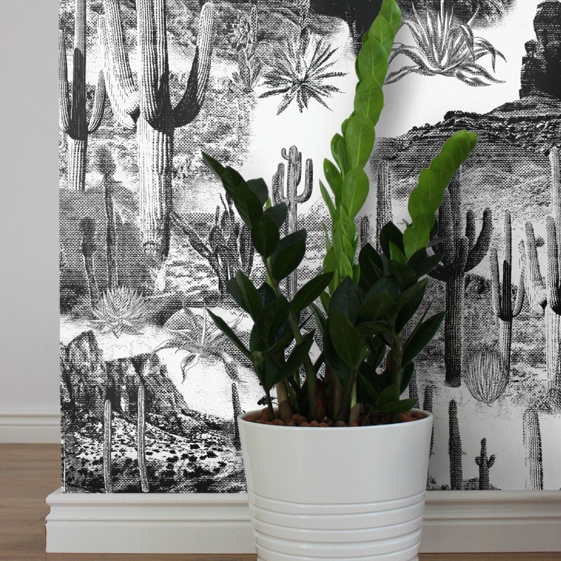 Black and White Cactus Wallpaper Desert Landscape Wall Decor - Etsy