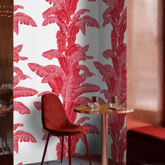 Tropical Palm Leaf Wallpaper in Different Colors and White Background , Banana Leaves Decor Accent Feature Wall