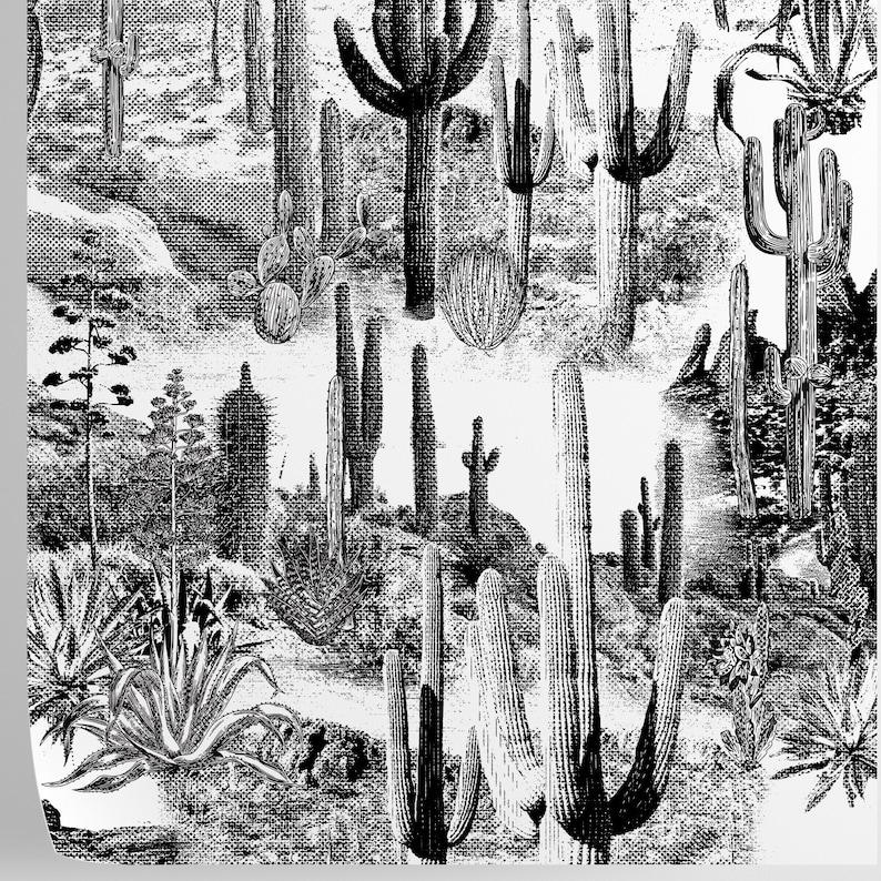 Black and White Cactus Wallpaper Desert Landscape Wall Decor Etsy