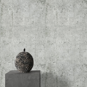 Industrial Concrete Wall Effect Wallpaper, Grey Plaster Modern Minimalistic Scandinavian Wall Decor