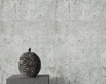 Industrial Concrete Wall Effect Wallpaper, Grey Plaster Modern Minimalistic Scandinavian Wall Decor