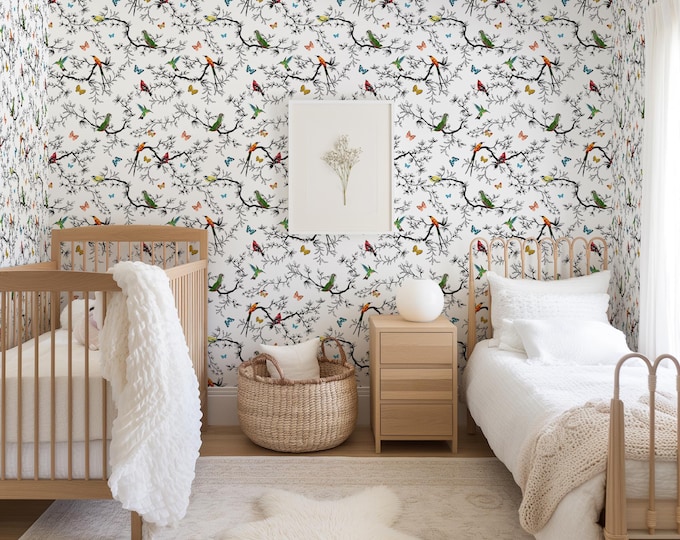 Bird and Butterfly Wallpaper, Colorful Sparrows on White Botanical Wallpaper for Living Room and Nursery